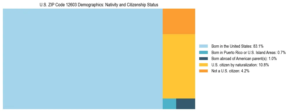Treemap showing the population distribution by nativity and citizenship status in US ZIP Code 12603 based on U.S. Census data.