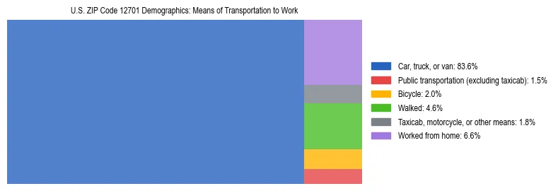 Treemap showing means of transportation to work distribution in US ZIP Code 12701.