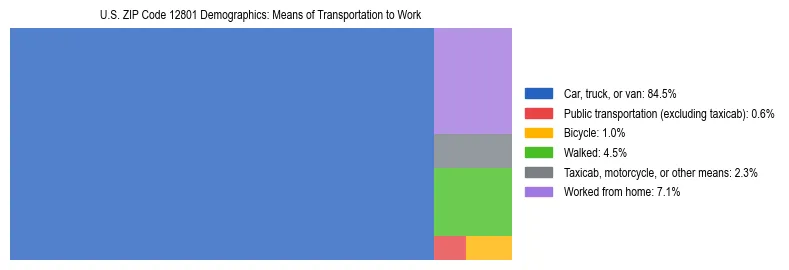 Treemap showing means of transportation to work distribution in US ZIP Code 12801.