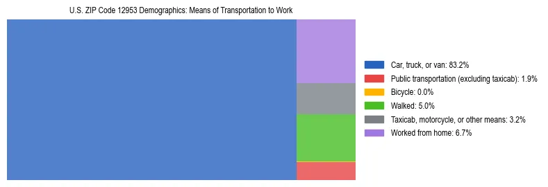 Treemap showing means of transportation to work distribution in US ZIP Code 12953.