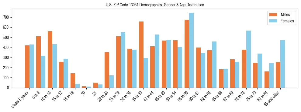Bar chart showing the population distribution of US ZIP Code 13031 by age group and gender, based on 2023 ACS data.