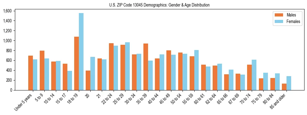Bar chart showing the population distribution of US ZIP Code 13045 by age group and gender, based on 2023 ACS data.