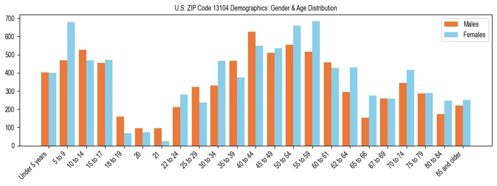 Bar chart showing the population distribution of US ZIP Code 13104 by age group and gender, based on 2023 ACS data.