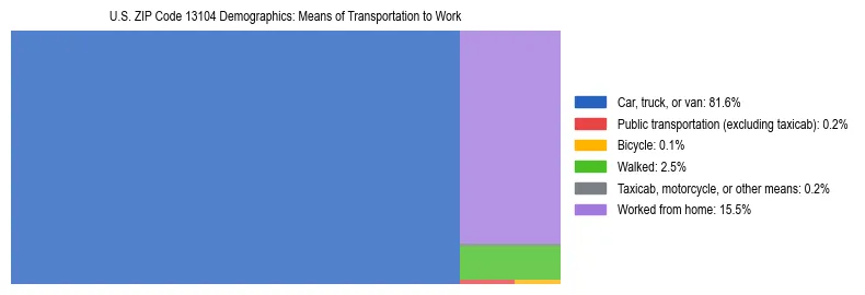 Treemap showing means of transportation to work distribution in US ZIP Code 13104.