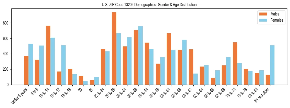 Bar chart showing the population distribution of US ZIP Code 13203 by age group and gender, based on 2023 ACS data.