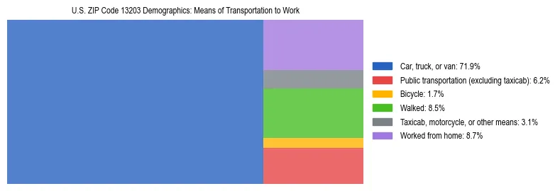 Treemap showing means of transportation to work distribution in US ZIP Code 13203.