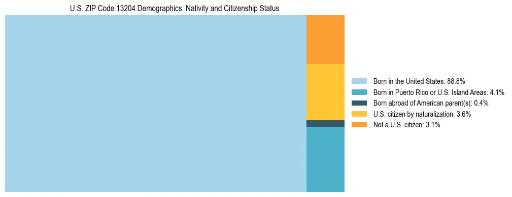Treemap showing the population distribution by nativity and citizenship status in US ZIP Code 13204 based on U.S. Census data.