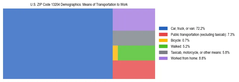 Treemap showing means of transportation to work distribution in US ZIP Code 13204.