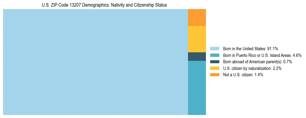 Treemap showing the population distribution by nativity and citizenship status in US ZIP Code 13207 based on U.S. Census data.