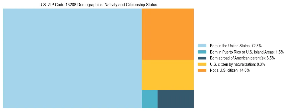 Treemap showing the population distribution by nativity and citizenship status in US ZIP Code 13208 based on U.S. Census data.