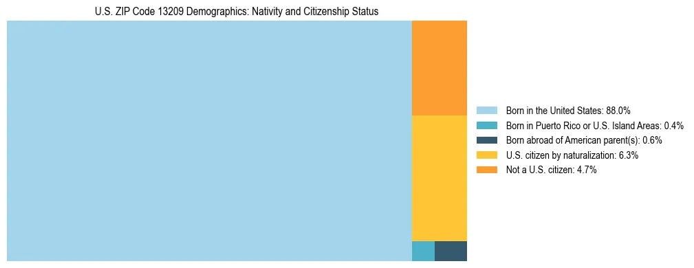 Treemap showing the population distribution by nativity and citizenship status in US ZIP Code 13209 based on U.S. Census data.