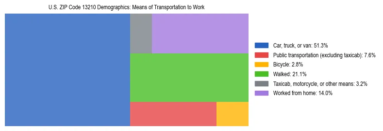 Treemap showing means of transportation to work distribution in US ZIP Code 13210.