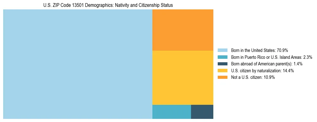 Treemap showing the population distribution by nativity and citizenship status in US ZIP Code 13501 based on U.S. Census data.