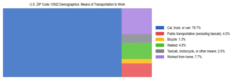 Treemap showing means of transportation to work distribution in US ZIP Code 13502.