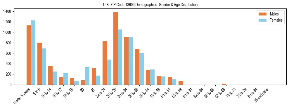 Bar chart showing the population distribution of US ZIP Code 13603 by age group and gender, based on 2023 ACS data.