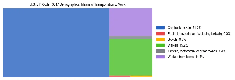 Treemap showing means of transportation to work distribution in US ZIP Code 13617.