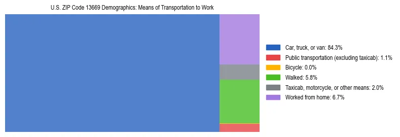 Treemap showing means of transportation to work distribution in US ZIP Code 13669.