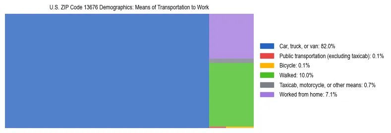 Treemap showing means of transportation to work distribution in US ZIP Code 13676.