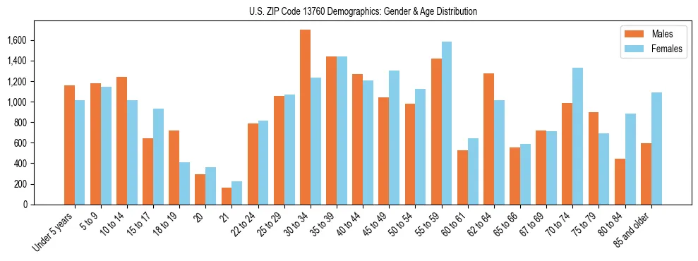 Bar chart showing the population distribution of US ZIP Code 13760 by age group and gender, based on 2023 ACS data.