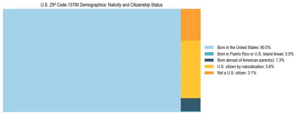 Treemap showing the population distribution by nativity and citizenship status in US ZIP Code 13790 based on U.S. Census data.