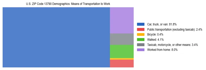 Treemap showing means of transportation to work distribution in US ZIP Code 13790.