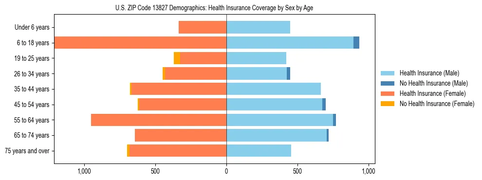 Pyramid chart showing health insurance coverage by age and sex in US ZIP Code 13827.