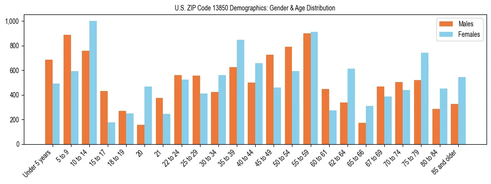 Bar chart showing the population distribution of US ZIP Code 13850 by age group and gender, based on 2023 ACS data.