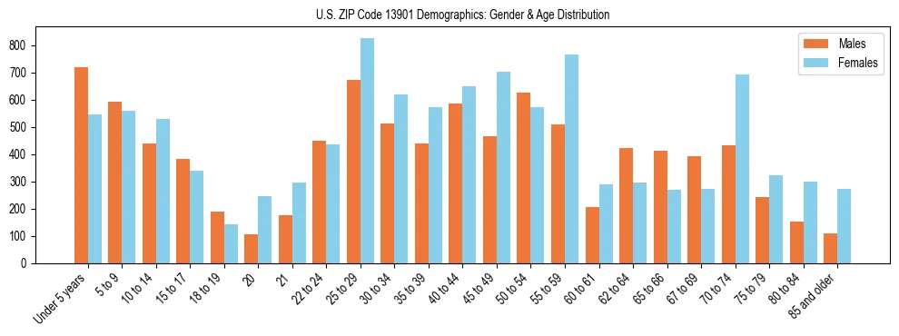 Bar chart showing the population distribution of US ZIP Code 13901 by age group and gender, based on 2023 ACS data.