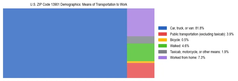 Treemap showing means of transportation to work distribution in US ZIP Code 13901.