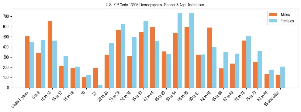 Bar chart showing the population distribution of US ZIP Code 13903 by age group and gender, based on 2023 ACS data.