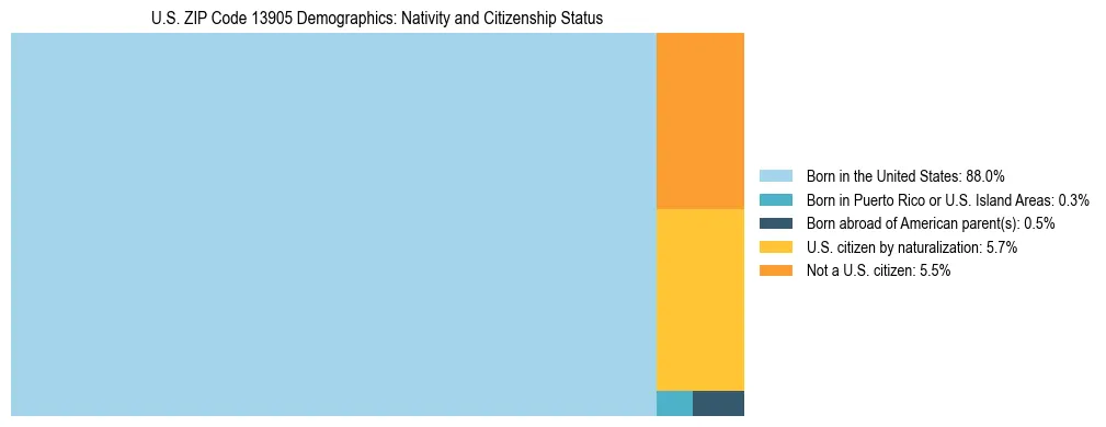Treemap showing the population distribution by nativity and citizenship status in US ZIP Code 13905 based on U.S. Census data.