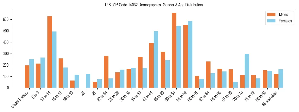 Bar chart showing the population distribution of US ZIP Code 14032 by age group and gender, based on 2023 ACS data.