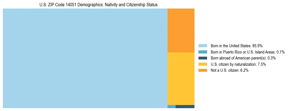 Treemap showing the population distribution by nativity and citizenship status in US ZIP Code 14051 based on U.S. Census data.