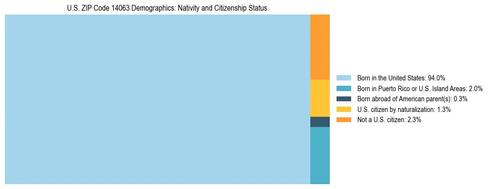 Treemap showing the population distribution by nativity and citizenship status in US ZIP Code 14063 based on U.S. Census data.