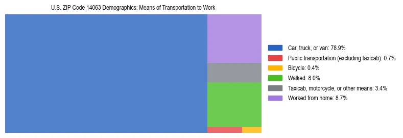 Treemap showing means of transportation to work distribution in US ZIP Code 14063.