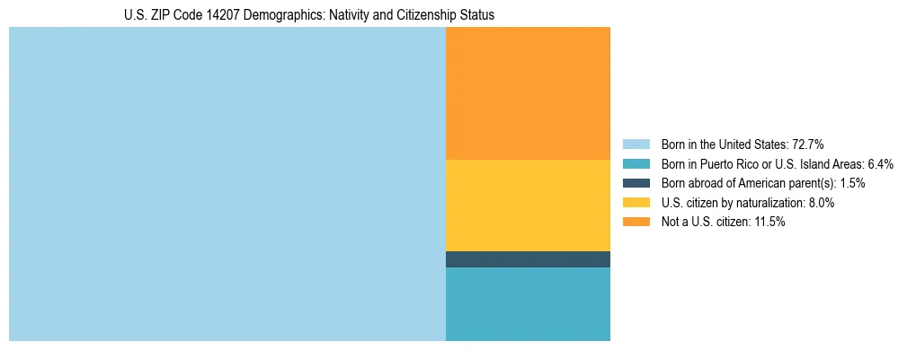 Treemap showing the population distribution by nativity and citizenship status in US ZIP Code 14207 based on U.S. Census data.