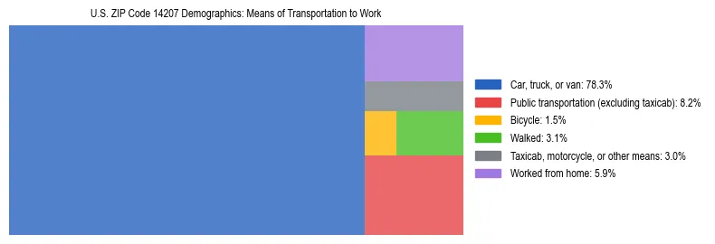 Treemap showing means of transportation to work distribution in US ZIP Code 14207.