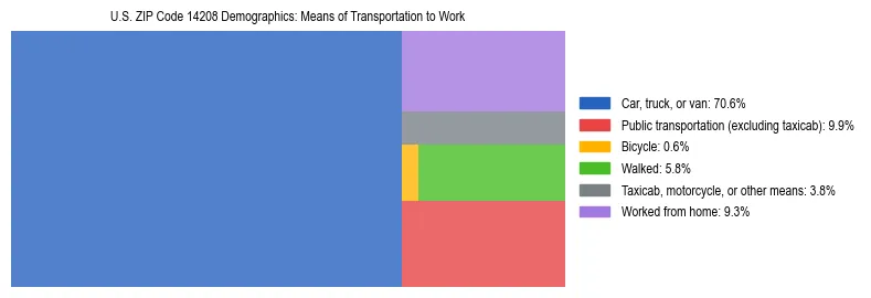 Treemap showing means of transportation to work distribution in US ZIP Code 14208.