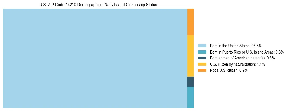 Treemap showing the population distribution by nativity and citizenship status in US ZIP Code 14210 based on U.S. Census data.