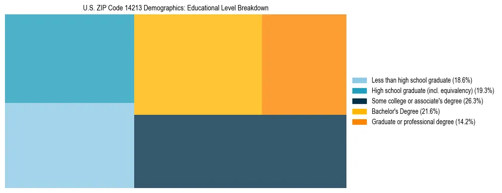 Treemap chart illustrating the educational attainment breakdown for population 25 years and over in US ZIP Code 14213.