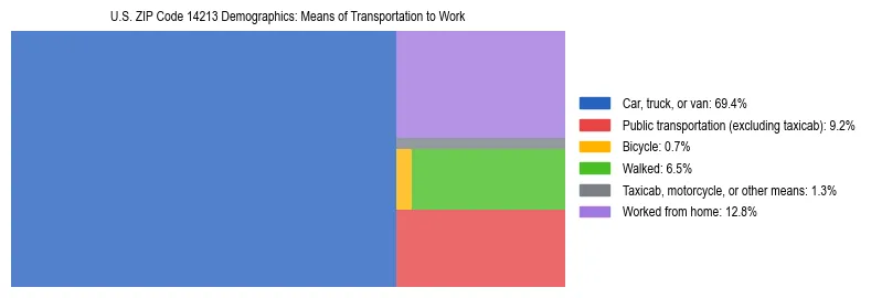 Treemap showing means of transportation to work distribution in US ZIP Code 14213.