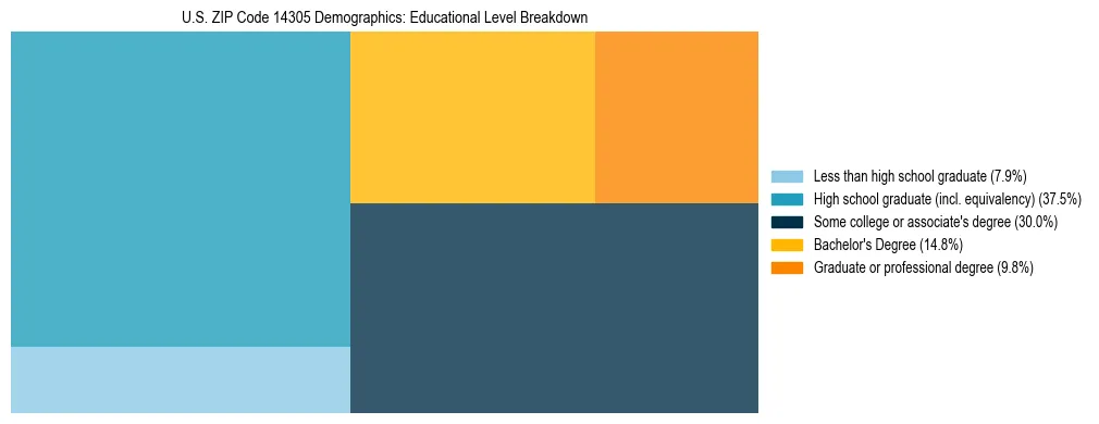 Treemap chart illustrating the educational attainment breakdown for population 25 years and over in US ZIP Code 14305.