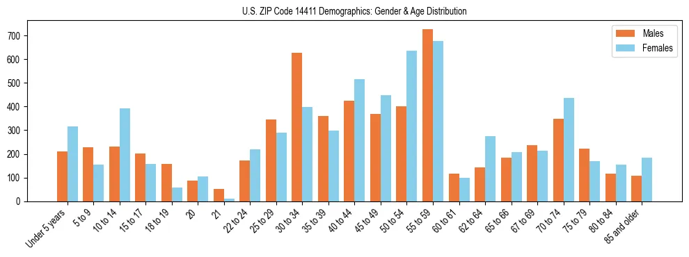 Bar chart showing the population distribution of US ZIP Code 14411 by age group and gender, based on 2023 ACS data.