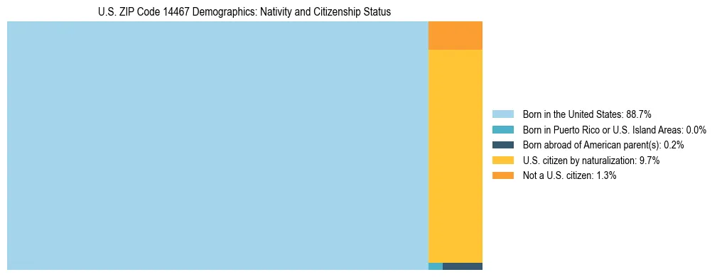 Treemap showing the population distribution by nativity and citizenship status in US ZIP Code 14467 based on U.S. Census data.