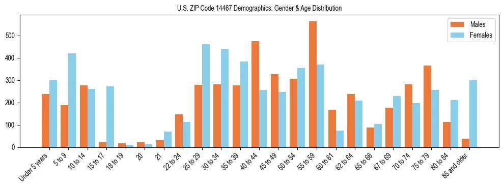 Bar chart showing the population distribution of US ZIP Code 14467 by age group and gender, based on 2023 ACS data.