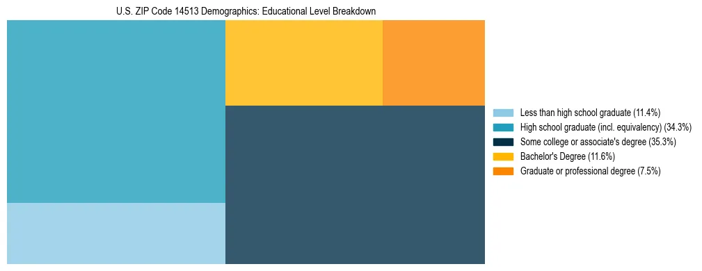Treemap chart illustrating the educational attainment breakdown for population 25 years and over in US ZIP Code 14513.