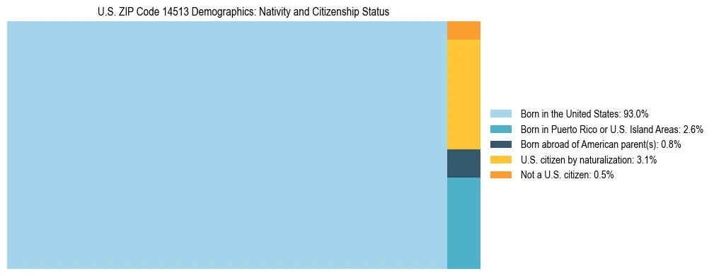 Treemap showing the population distribution by nativity and citizenship status in US ZIP Code 14513 based on U.S. Census data.