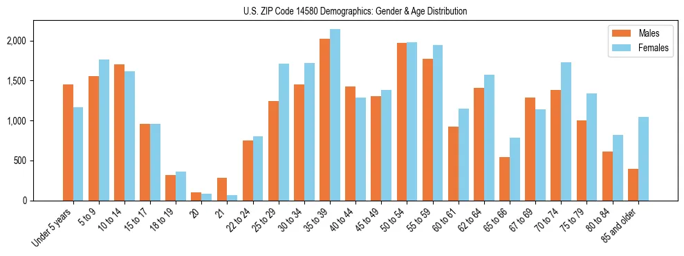 Bar chart showing the population distribution of US ZIP Code 14580 by age group and gender, based on 2023 ACS data.