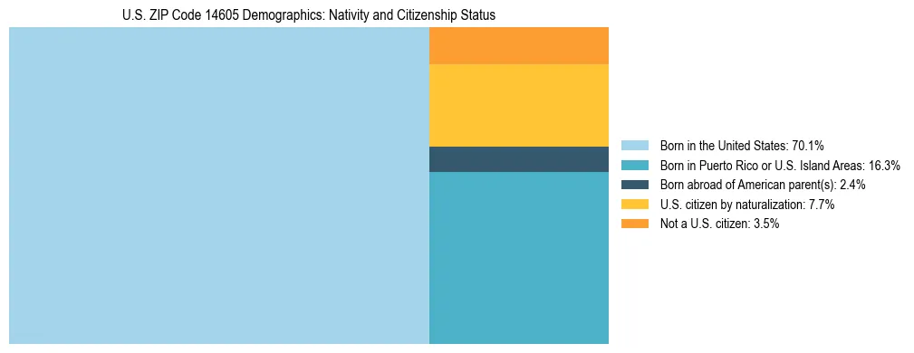 Treemap showing the population distribution by nativity and citizenship status in US ZIP Code 14605 based on U.S. Census data.