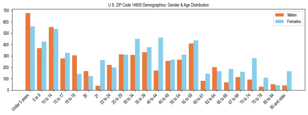 Bar chart showing the population distribution of US ZIP Code 14605 by age group and gender, based on 2023 ACS data.